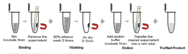 NanoMag DNA Cleanup Kit process