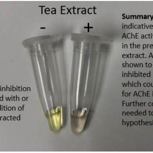 Acetylcholinesterase Inhibition Assay