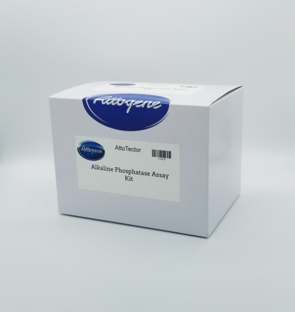 Alkaline Phosphatase Assay Kit