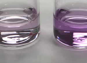 Formaldehyde Detection Kit