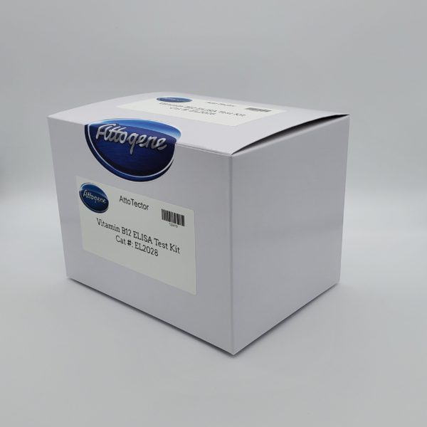 Vitamin B12 ELISA Kit