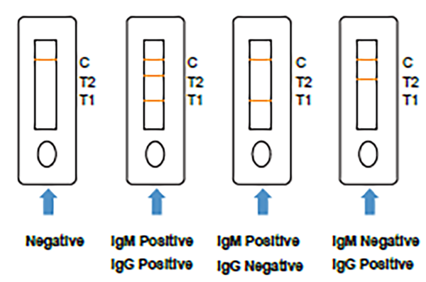 rapid cov testing picture