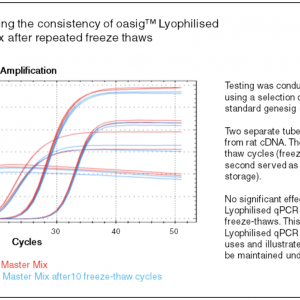 qRT PCR graph