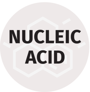 Nucleic Acid Attogene Icon