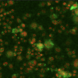 NeuroTarget Cell Delivery Agent