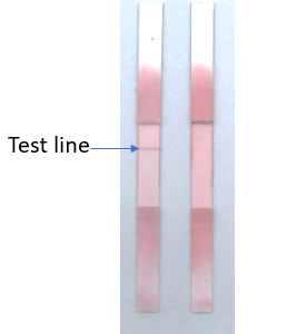 HIS-Tag polyclonal antibody