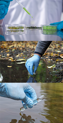 water-soil-algae_sample-image 2
