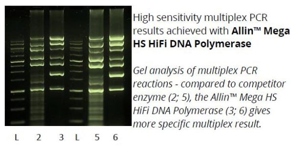 allin_mega_hs_hifi_polymerase_1