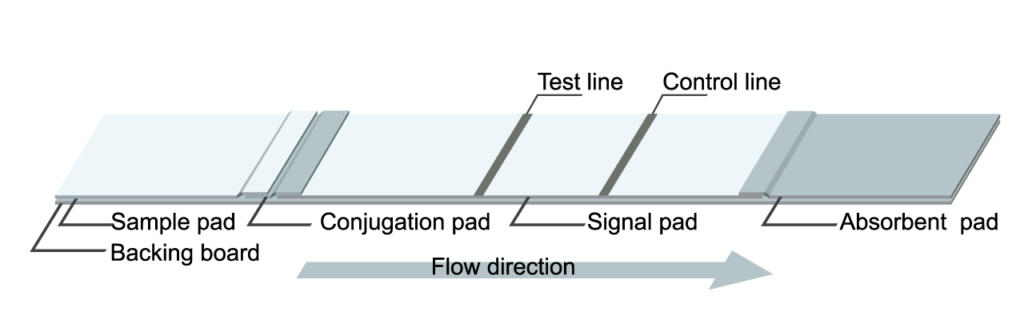 Lateral-Flow-Process