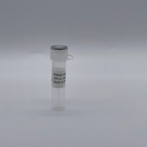 NA2021 Product Image
