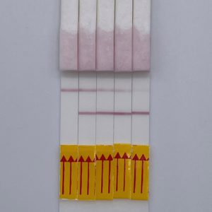 Universal LFA Kit Product Image