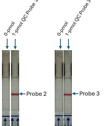 Nucleic Acid Lateral Flow (NALF) Barcode Test Strips