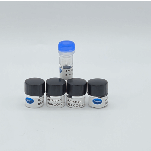 Oligonucleotide-BSA Conjugation Kit