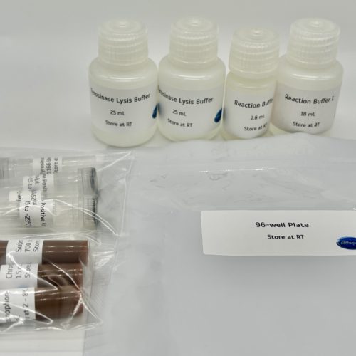 Tyrosinase Activity Assay Kit